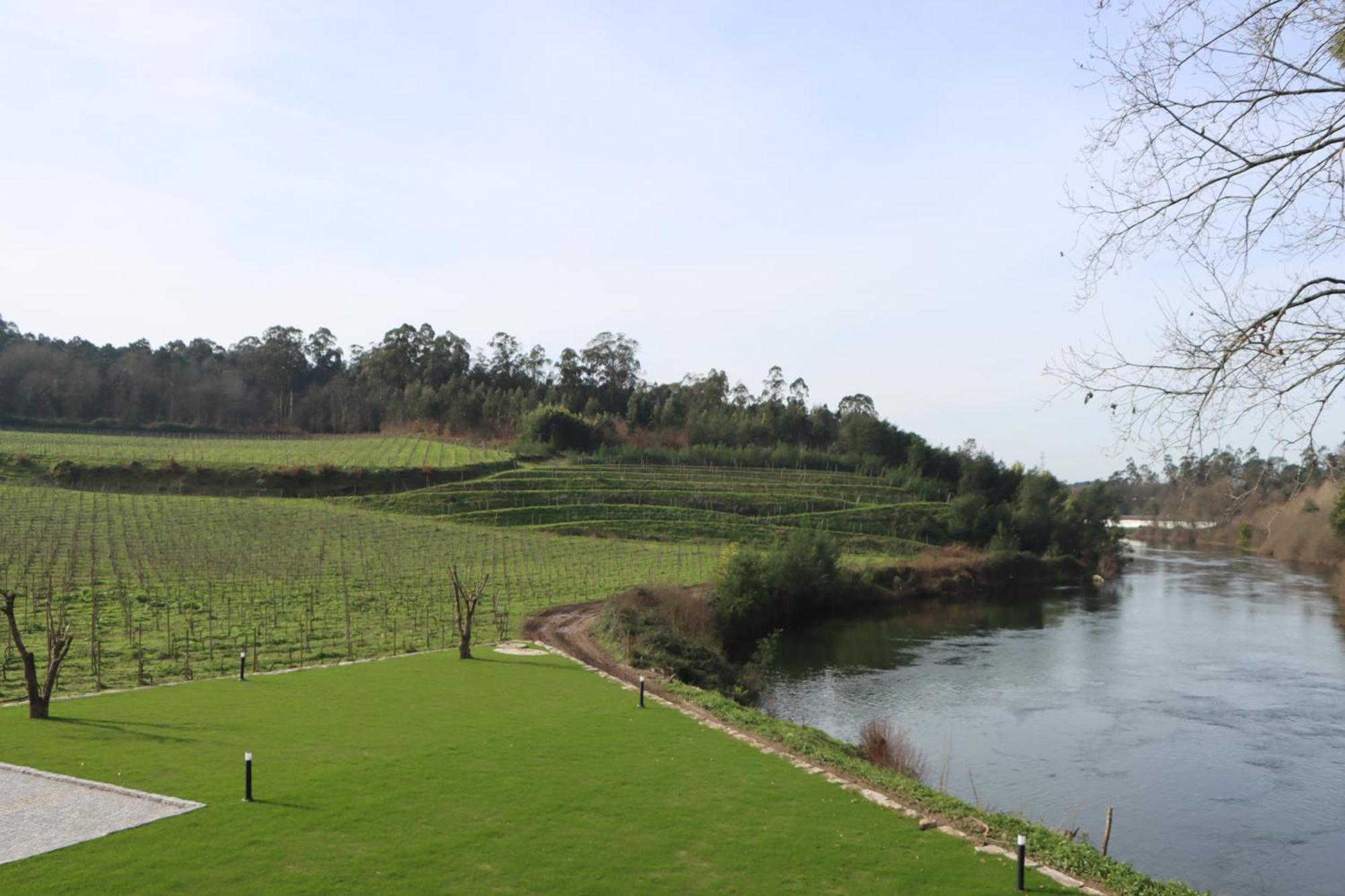 Вилла Quinta Das Areias - Solar Da Pena Брага Экстерьер фото